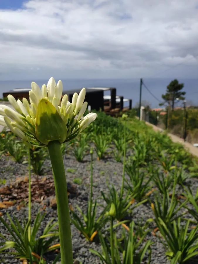 Luxury tent Calheta Glamping Pods - Nature Retreat