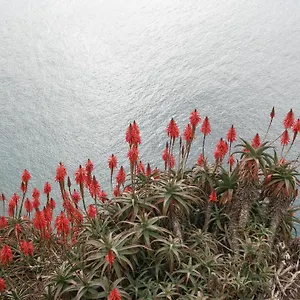  Apartamento Palma Madeira Wandern Und Tauchen